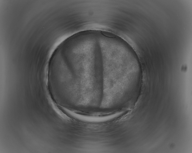 X0000091851128200710031635