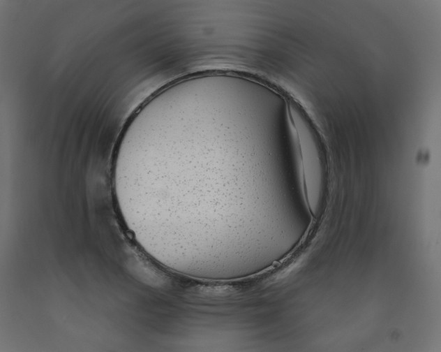X0000091851129200710031635