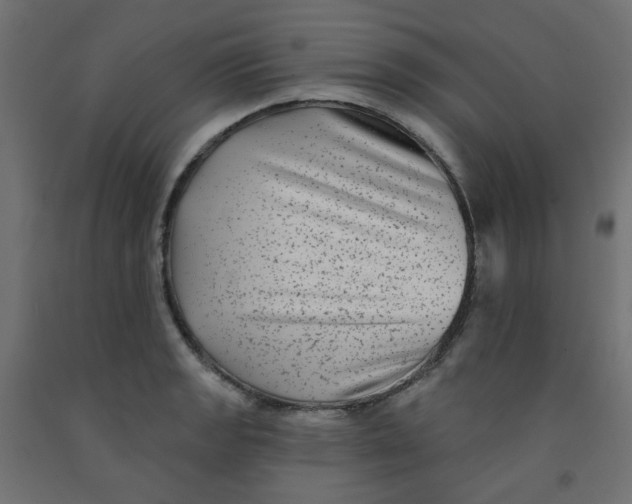 X0000091851133200710031635