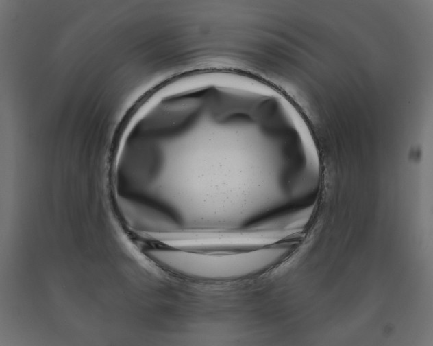 X0000091851134200710031635