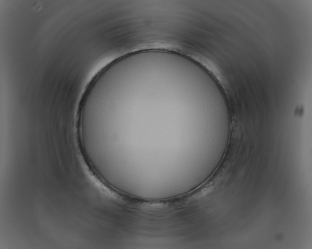 X0000091851135200710031635