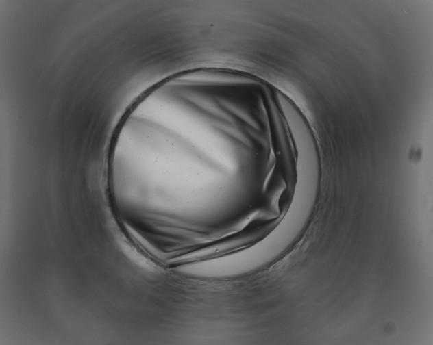 X0000091851136200710031635