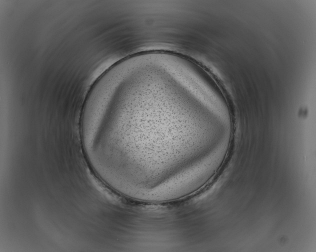X0000091851137200710031635