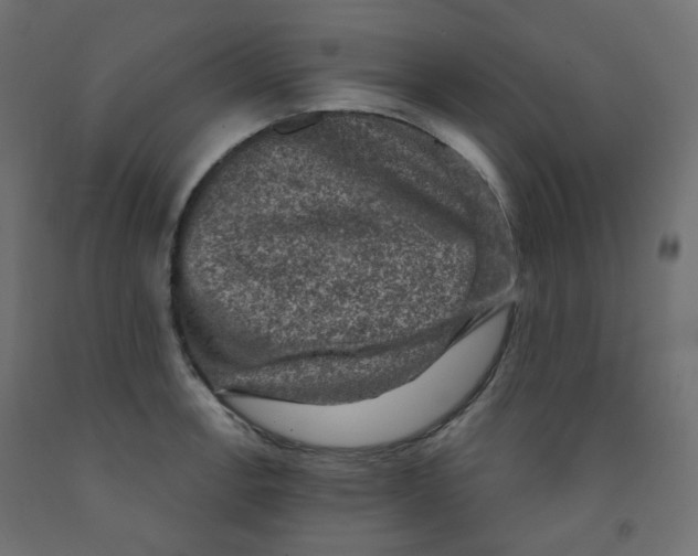 X0000091851138200710031635