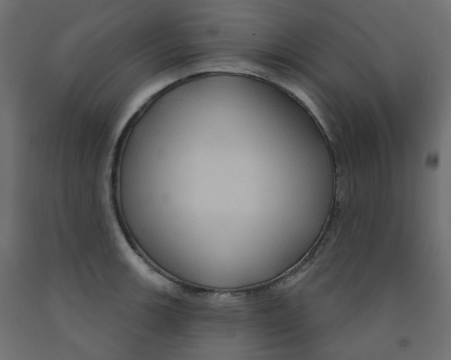 X0000091851139200710031635