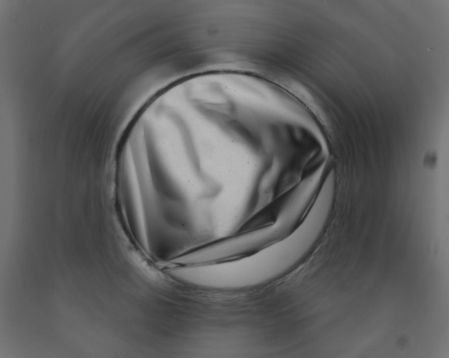 X0000091851140200710031635