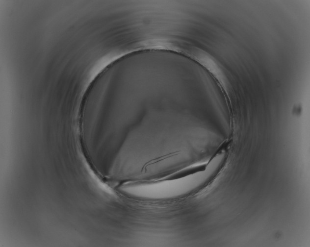 X0000091851141200710031635