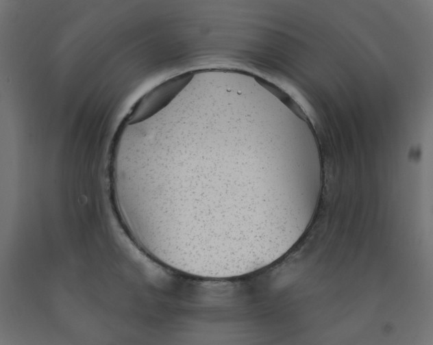 X0000091851142200710031635