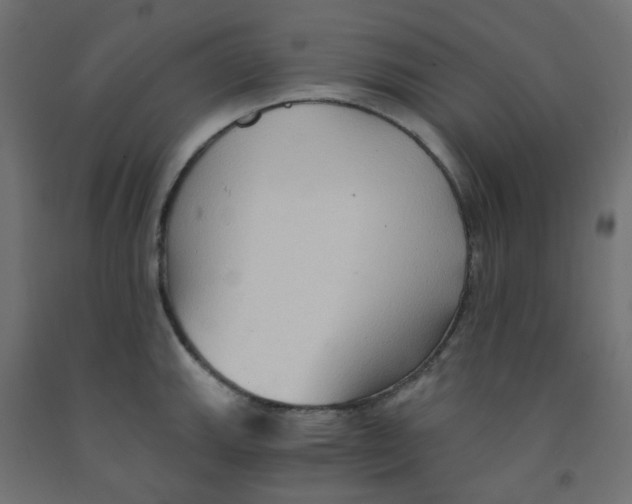 X0000091851143200710031635