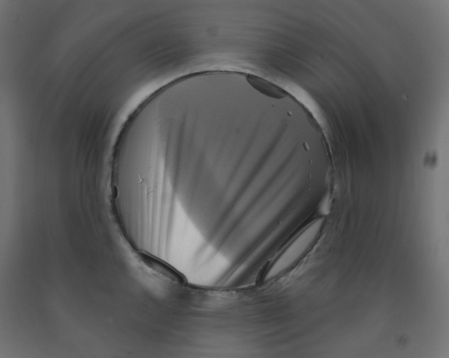 X0000091851144200710031635