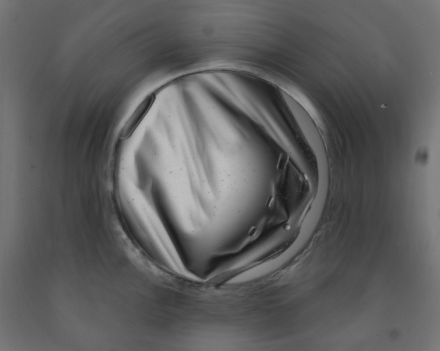 X0000091851148200710031635