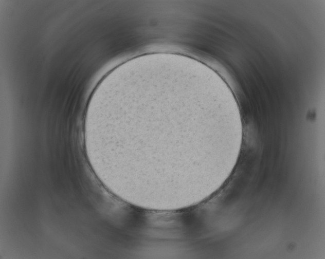 X0000091851150200710031635