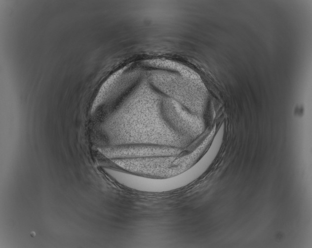 X0000091851153200710031635