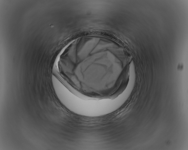 X0000091851156200710031635