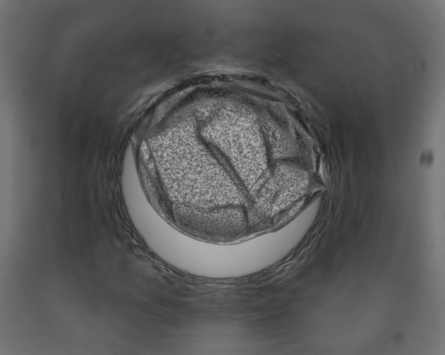 X0000091851157200710031635