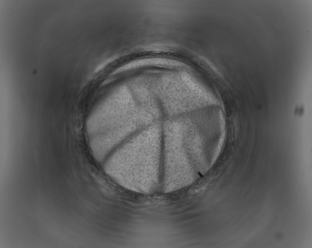 X0000091851158200710031635