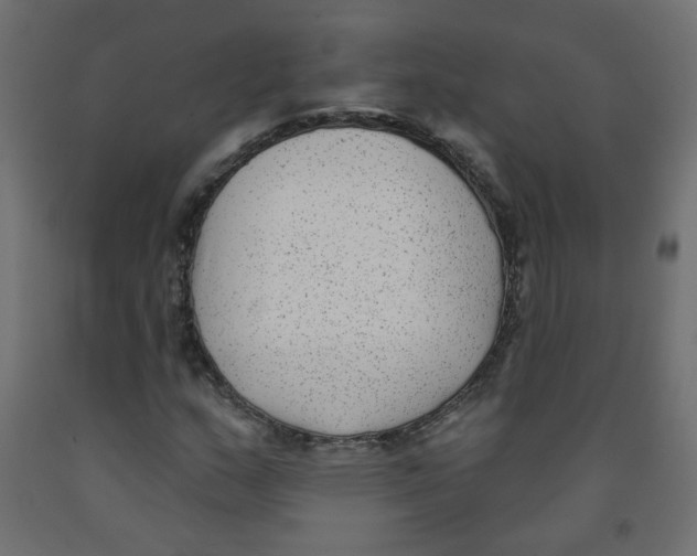 X0000091851159200710031635