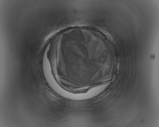 X0000091851160200710031635