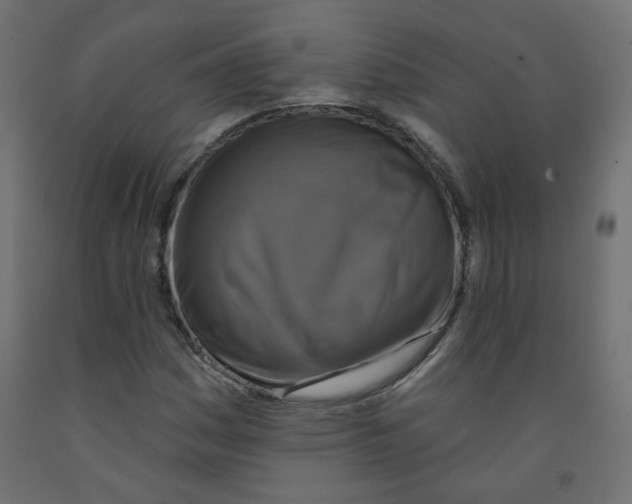 X0000091851161200710031635
