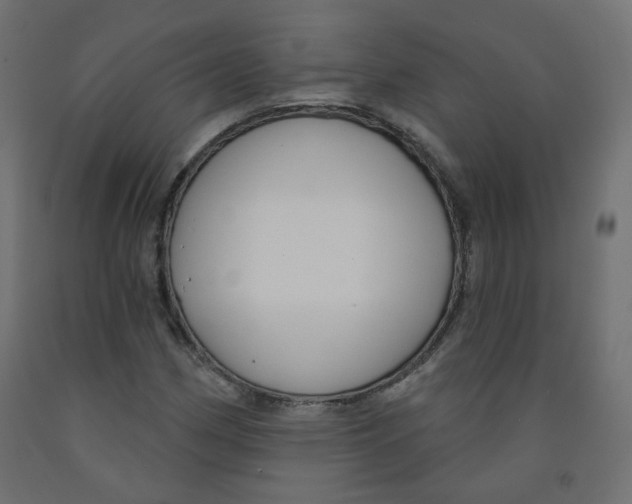 X0000091851162200710031635