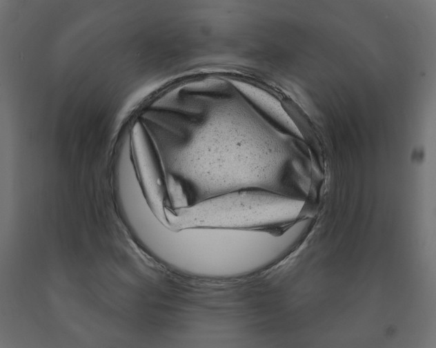 X0000091851164200710031635