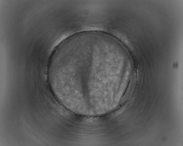 X0000091851165200710031635