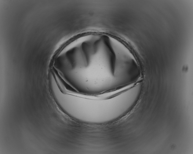 X0000091851168200710031635