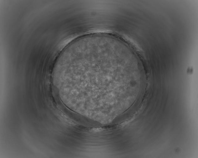 X0000091851169200710031635