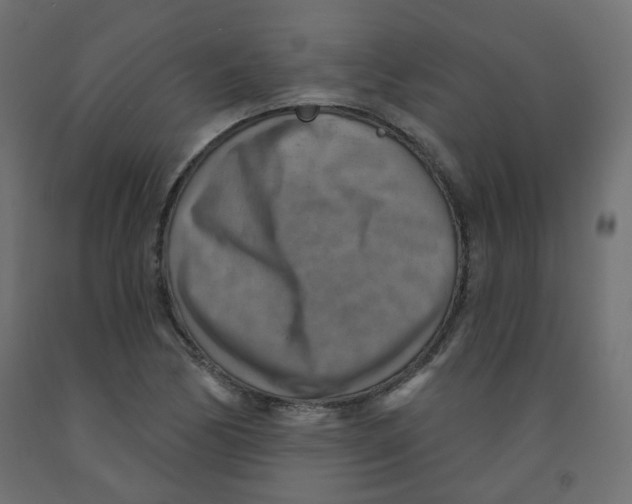 X0000091851170200710031635