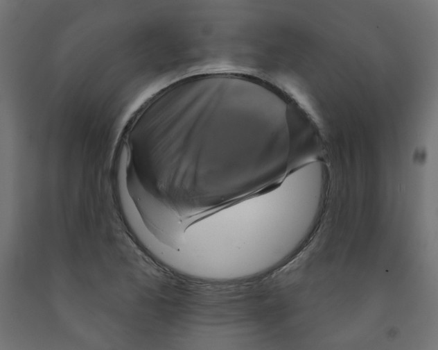 X0000091851173200710031635