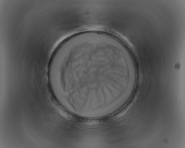 X0000091851174200710031635