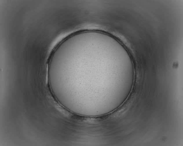 X0000091851175200710031635