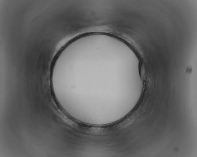 X0000091851176200710031635
