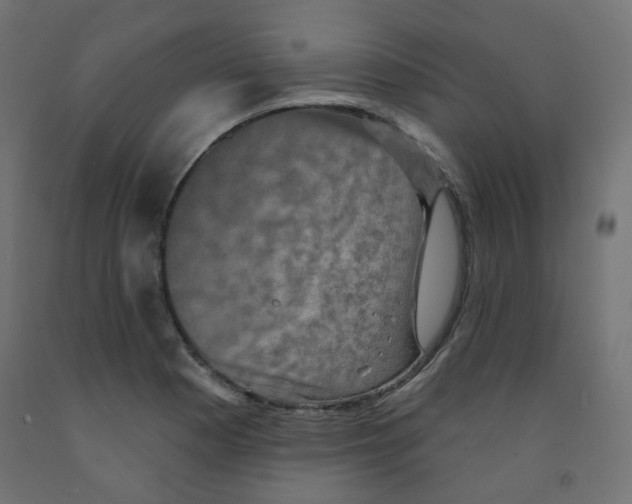 X0000091851177200710031635