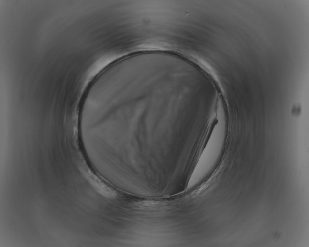 X0000091851179200710031635