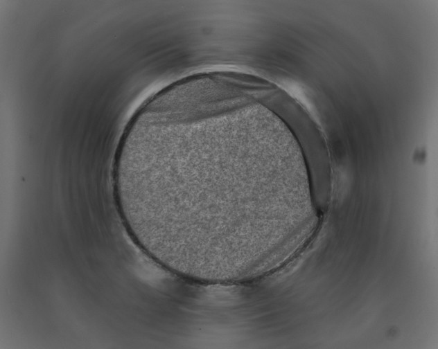 X0000091851181200710031635