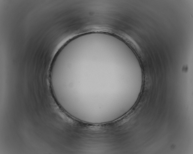 X0000091851182200710031634