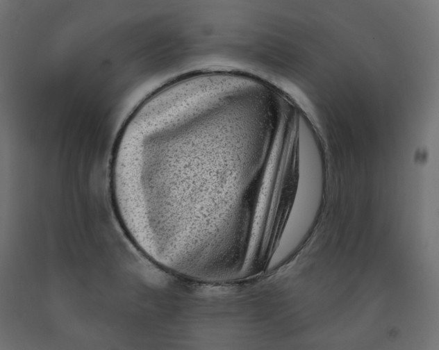 X0000091851183200710031634