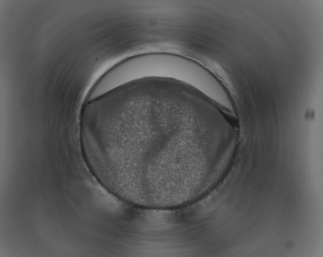 X0000091851184200710031634