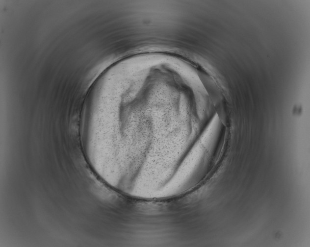 X0000091851185200710031634