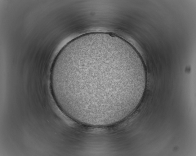 X0000091851187200710031634