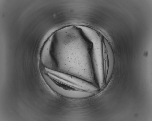 X0000091851188200710031634