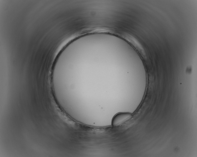 X0000091851190200710031634