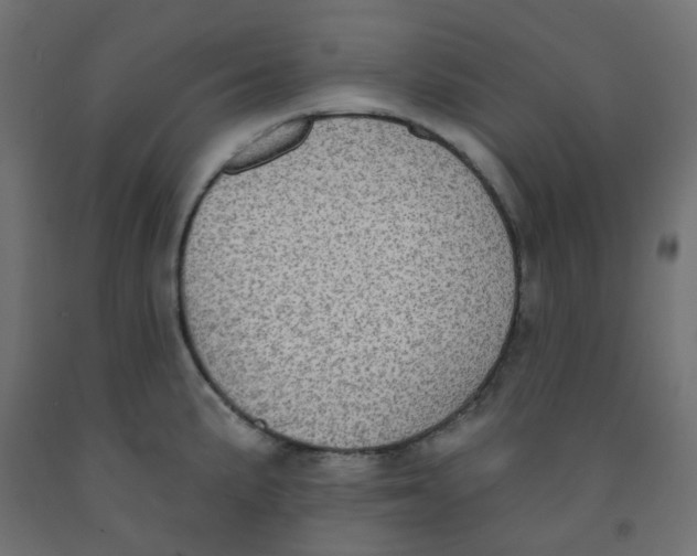 X0000091851191200710031634