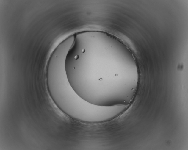X0000091851192200710031634
