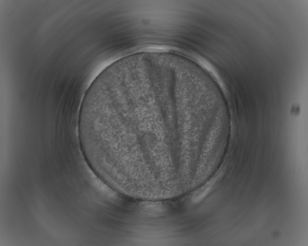 X0000091851194200710031634
