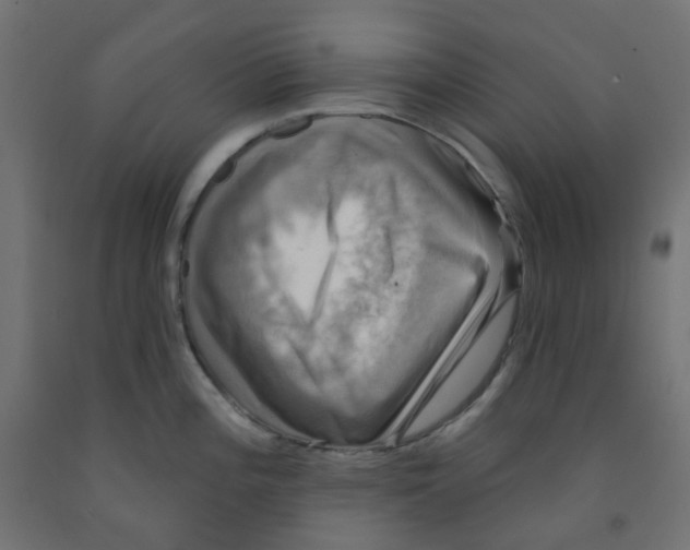 X0000091851196200710031634