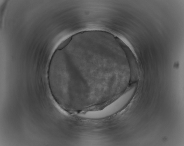 X0000091851197200710031634