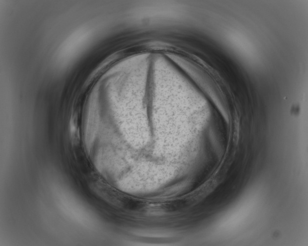 X0000091851198200710031634