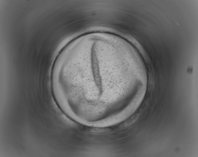 X0000091851199200710031634